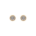 ARETES RALPH LAUREN ARISTOTLE DORADO