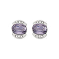 ARETES NAPIER N3 SOCIAL CLR EAR PLATA