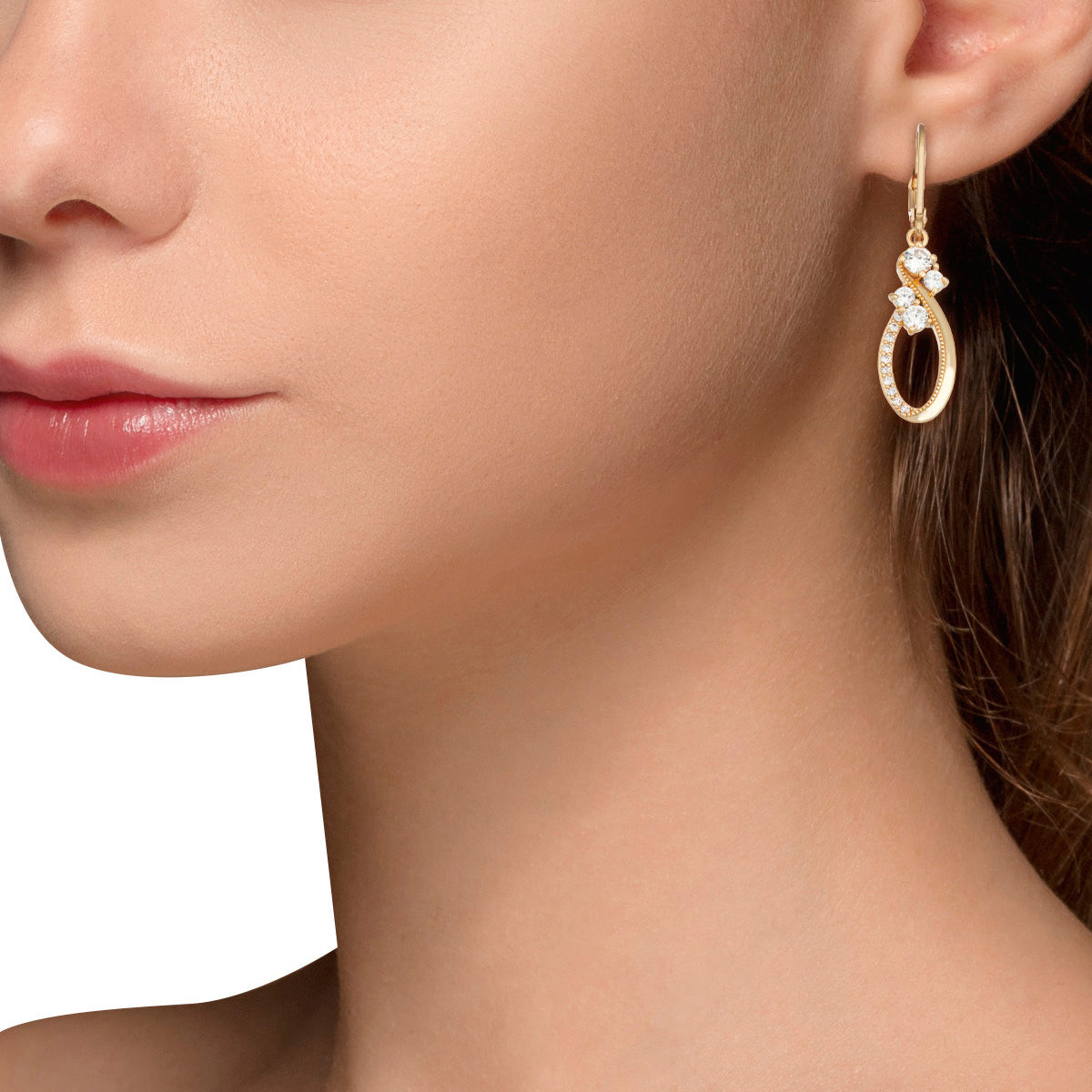 ARETES NAPIER A1 SOCIAL EAR PLATA