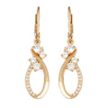 ARETES NAPIER A1 SOCIAL EAR PLATA