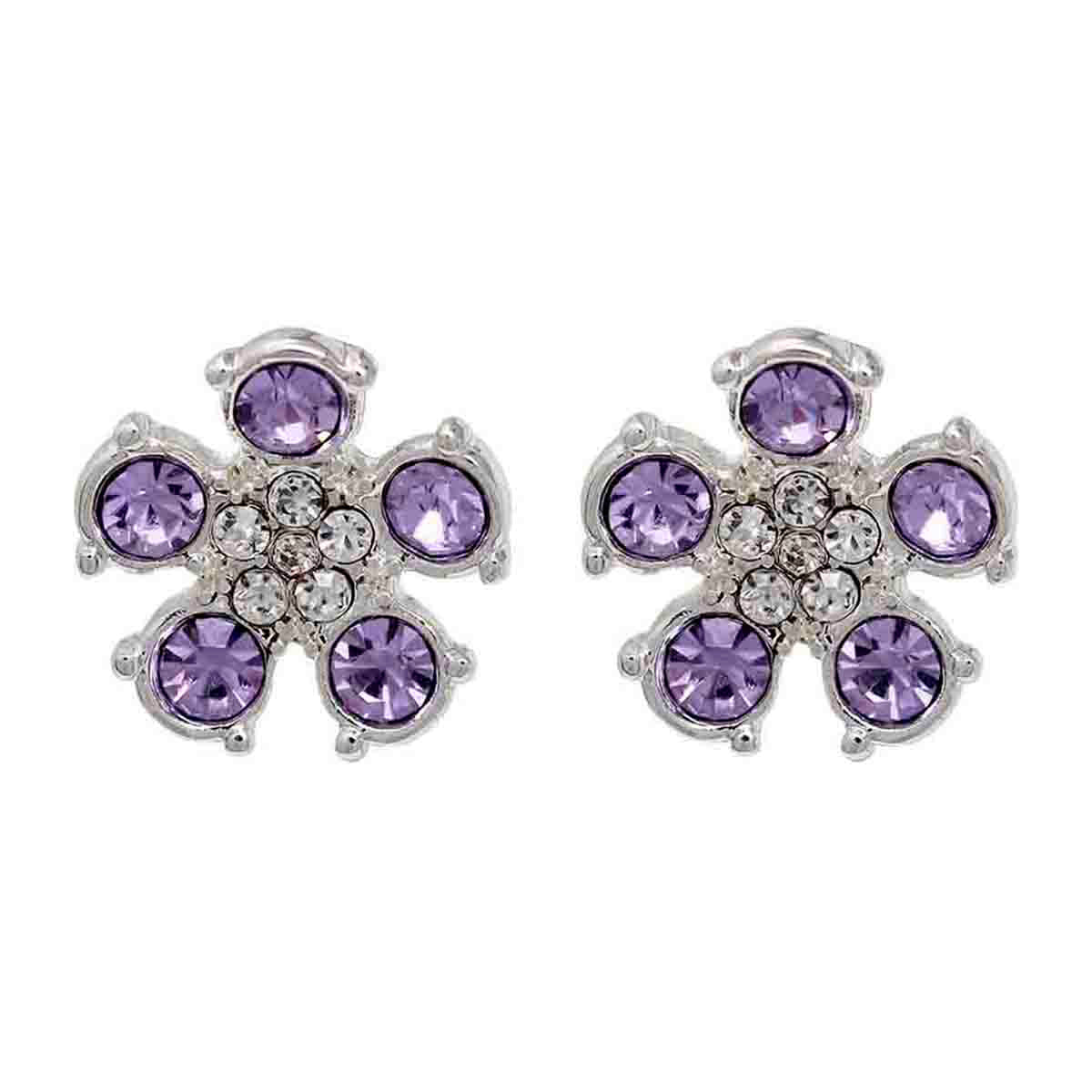 ARETES NAPIER A3 COLOR SOCIAL EAR PLATA