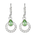 ARETES NAPIER SOCIAL CLR EAR F1 PLATA