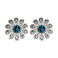 ARETES NAPIER A2 SOCIAL CLR EAR PLATA