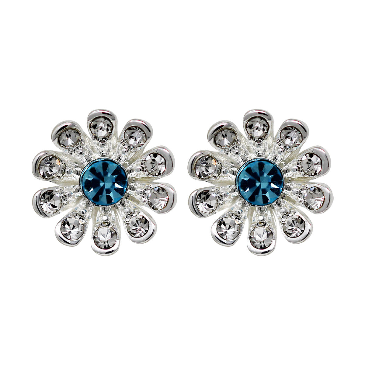 ARETES NAPIER A2 SOCIAL CLR EAR PLATA