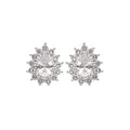 ARETES NAPIER COLOR plateado FORMA PERA 17G02303