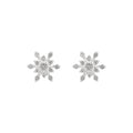 ARETES NAPIER COLOR plateado 17G02713