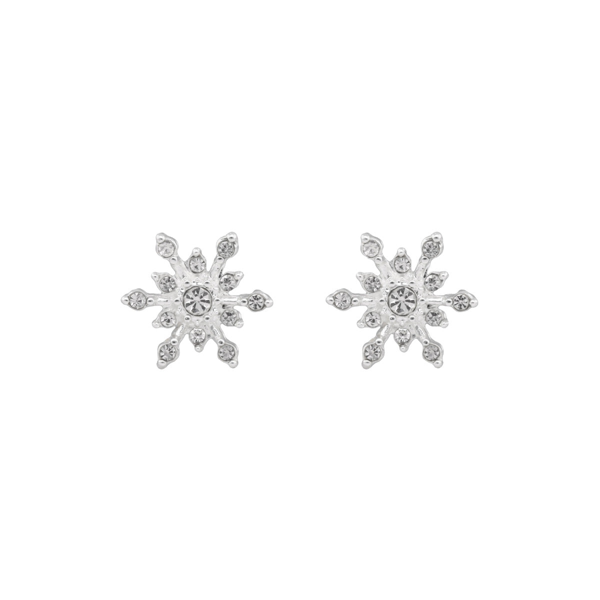 ARETES NAPIER COLOR plateado 17G02713