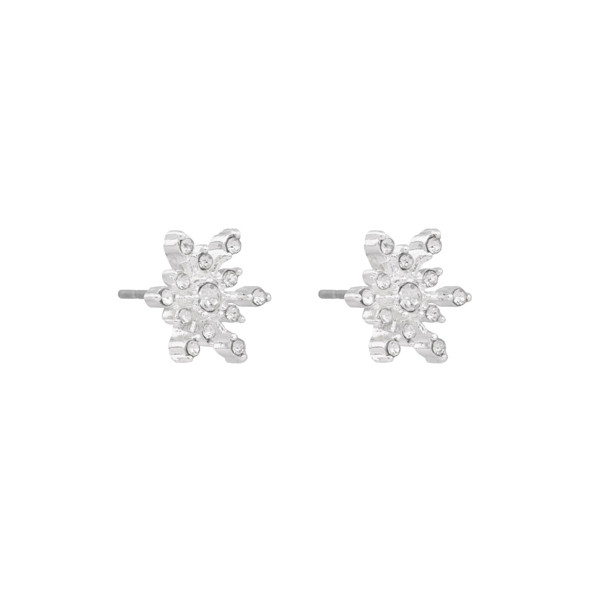 ARETES NAPIER COLOR plateado 17G02713