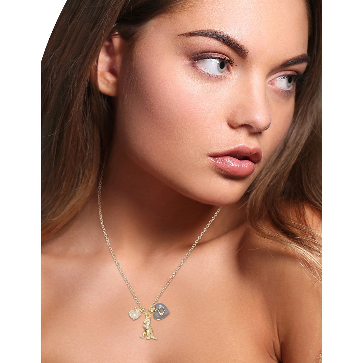 COLLAR COACH RESIN HEARTS DORADO