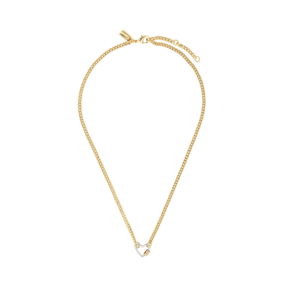 COLLAR COACH 1.1 CARABINER BITONO