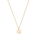 COLLAR COACH 10.1 EMBEDDED LUCITE DORADO