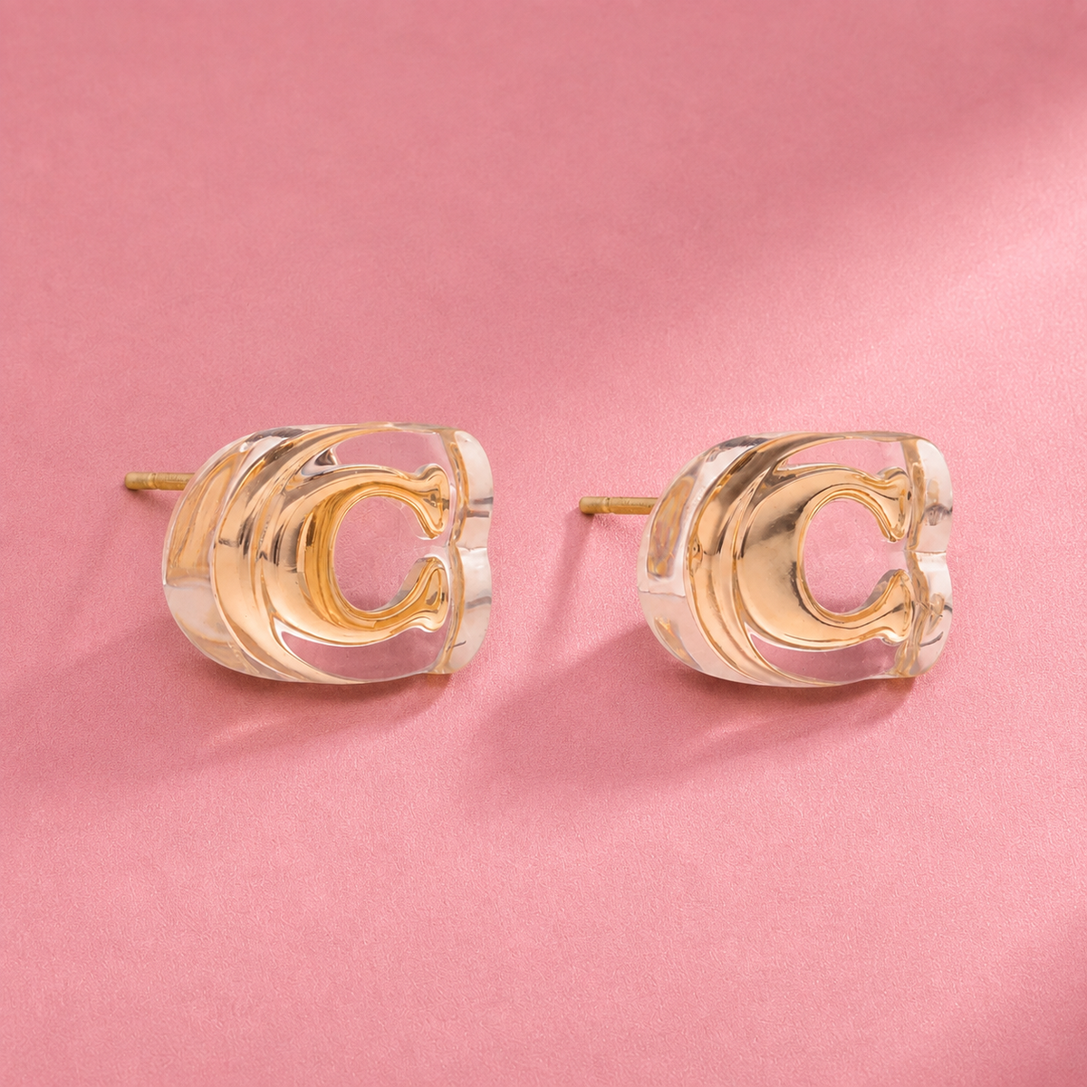 Aretes Embedded Lucite Coach