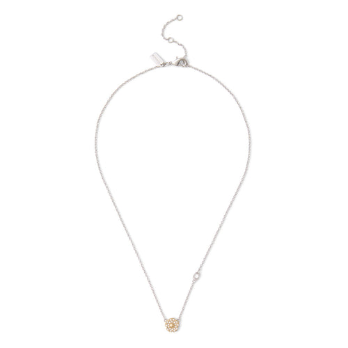 COLLARES COACH 521230TWO975