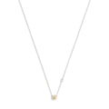 COLLARES COACH 521230TWO975