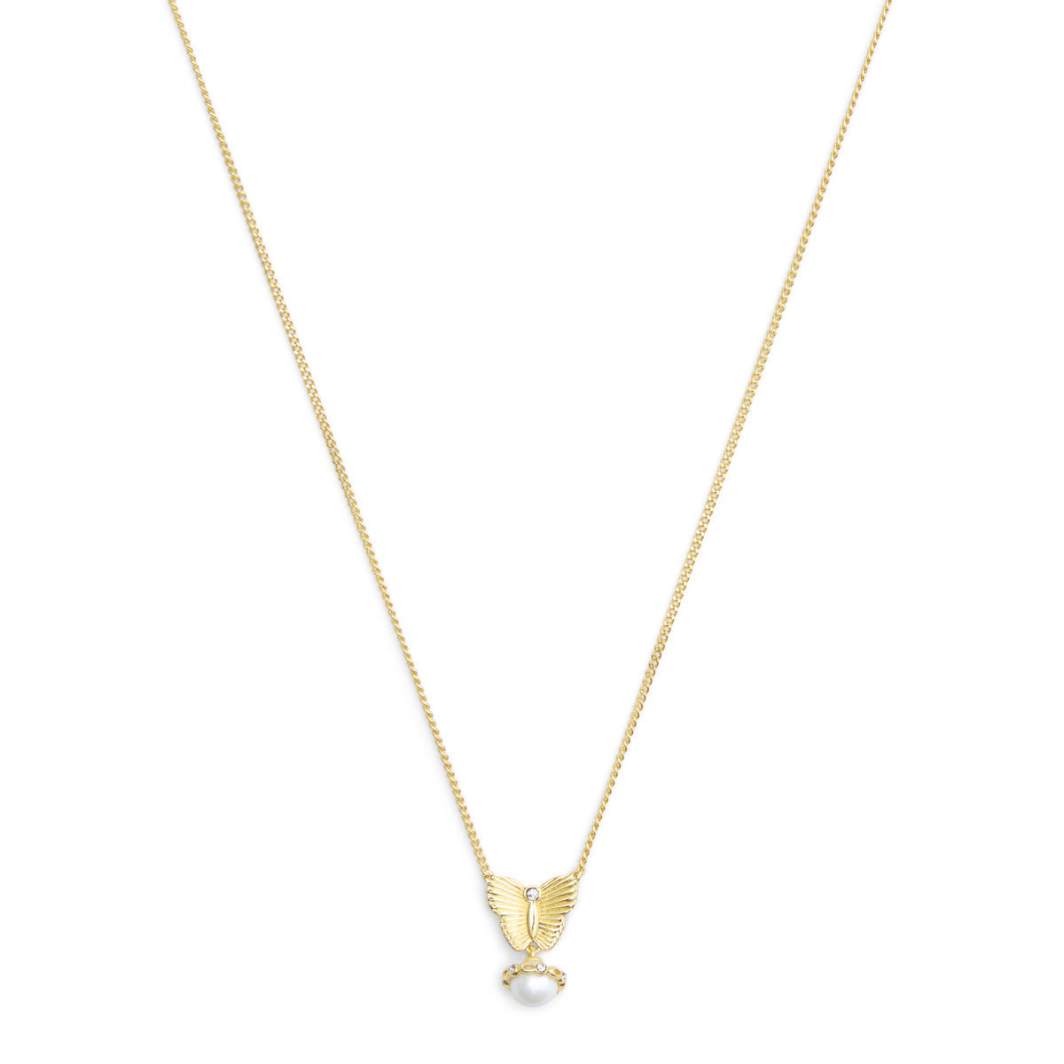 COLLARES COACH 527589GLD107