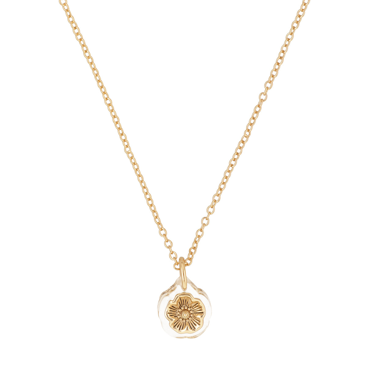 Collar Coach Dorado Familia Embedded Lucite Tea Rose   Dorada
