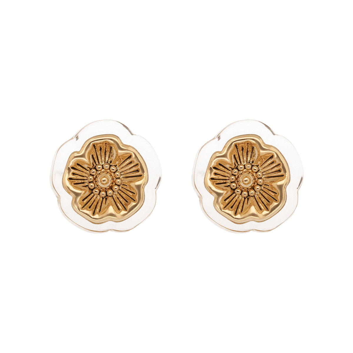 Aretes Coach Dorado Familia Embedded Lucite Tea Rose   Dorados