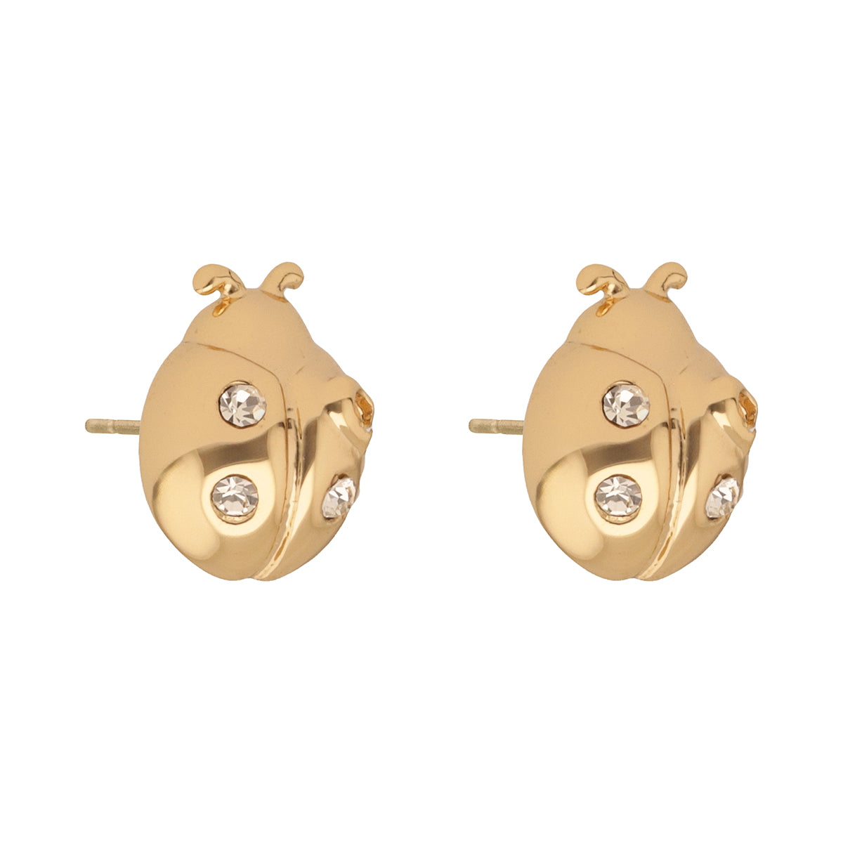 Aretes Coach Dorado Familia  Spring Tearose Catarina   Dorados