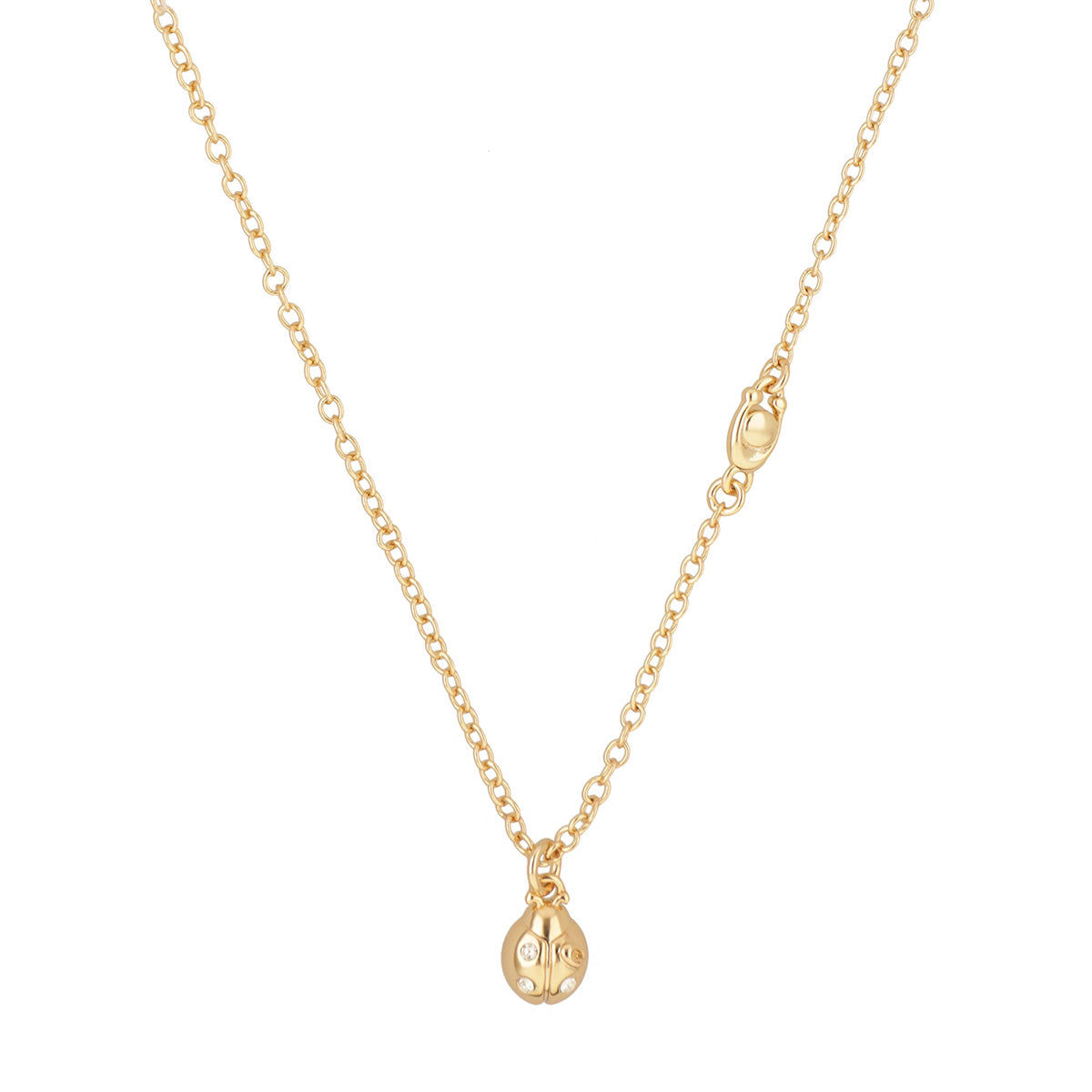 Collar Coach Dorado Familia  Spring Tearose Catarina   Dorado
