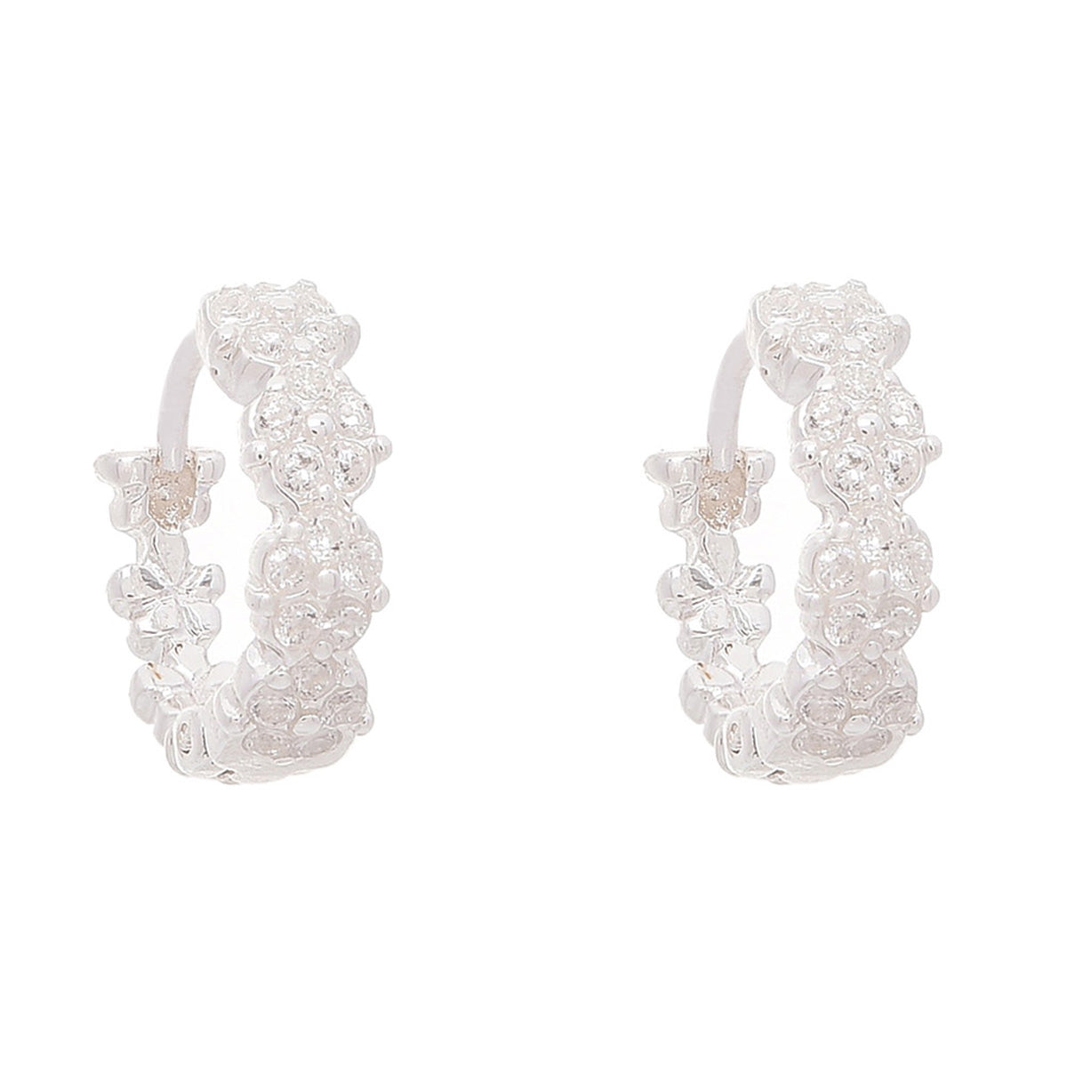 ARETES NAPIER PLATA PLATA