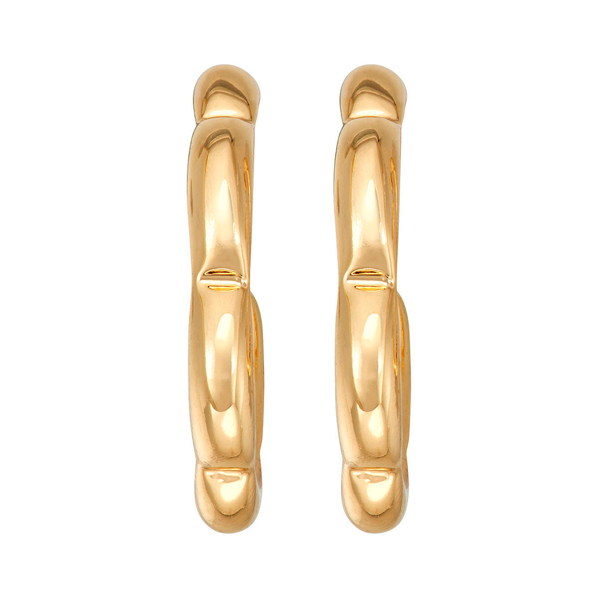 ARETES NAPIER FEB BASIC EARS 1 DORADO