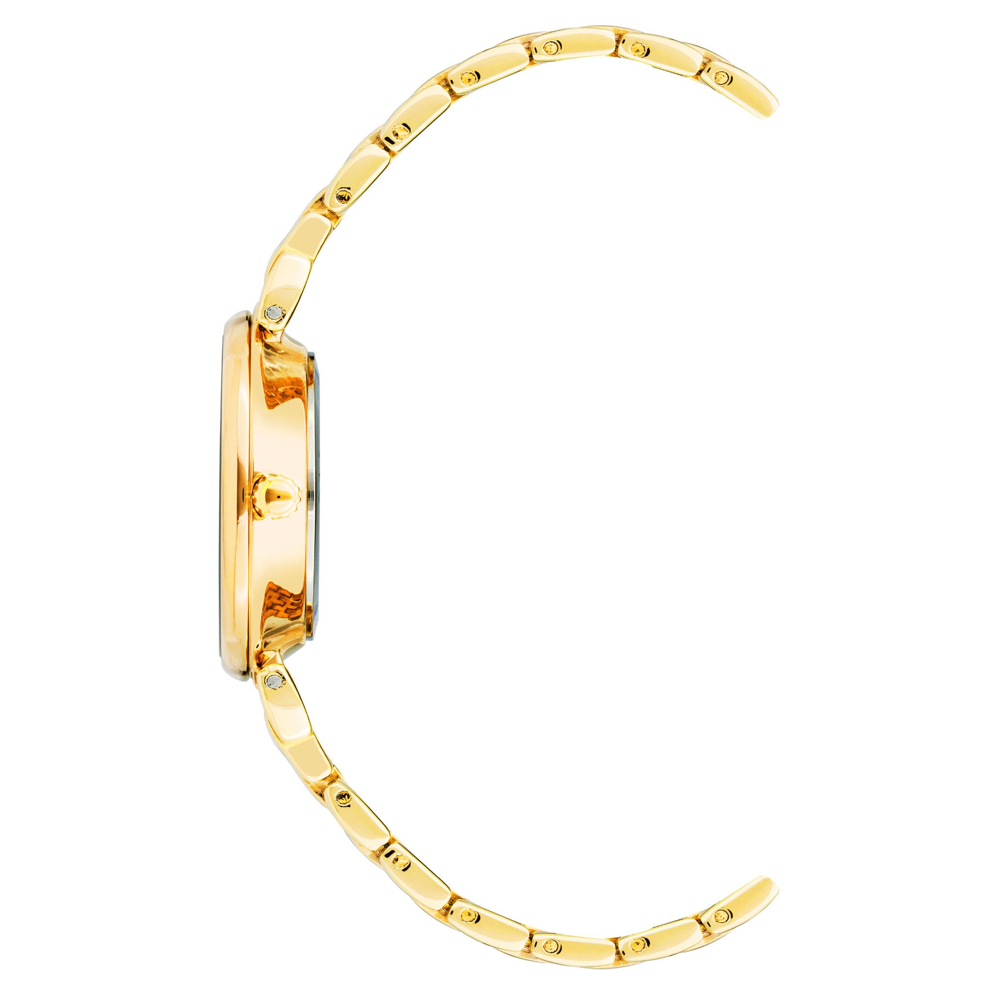 Reloj Anne Klein Ak2158Lvgb
