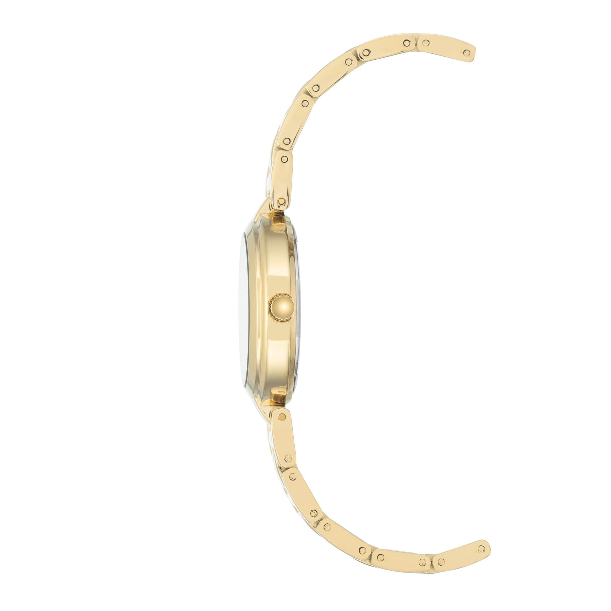 Reloj Anne Klein Ak3070Mpgb