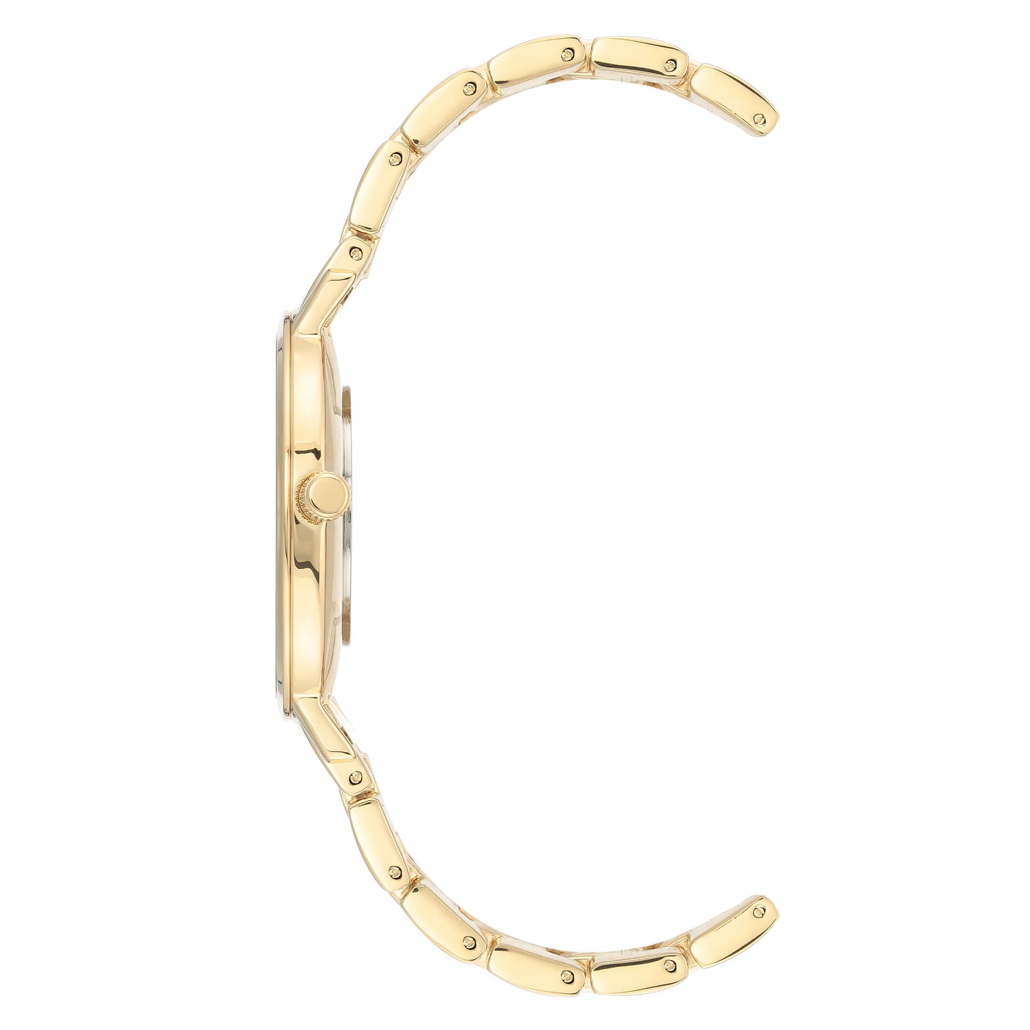 Reloj Anne Klein Ak3680Mpgb