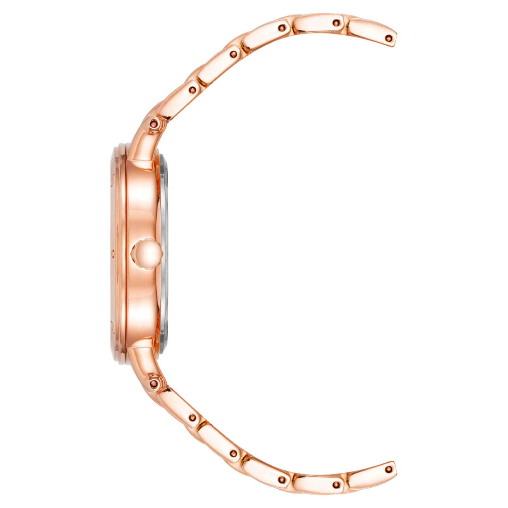 Reloj Anne Klein Ak4012Wtrg