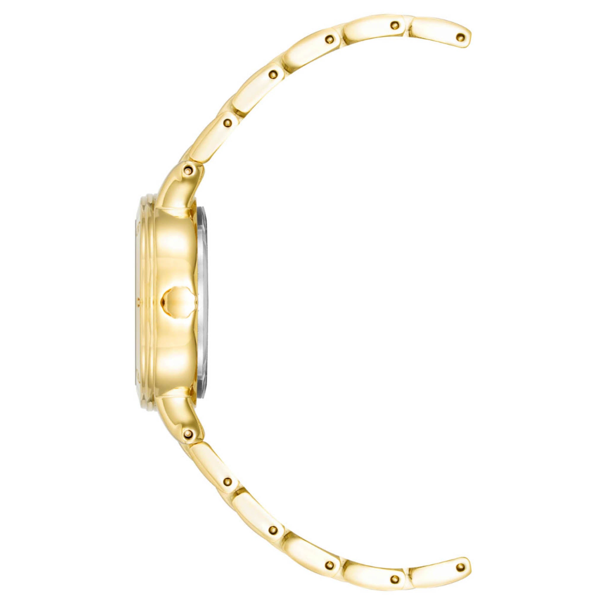 Reloj Anne Klein Ak4014Wtgb