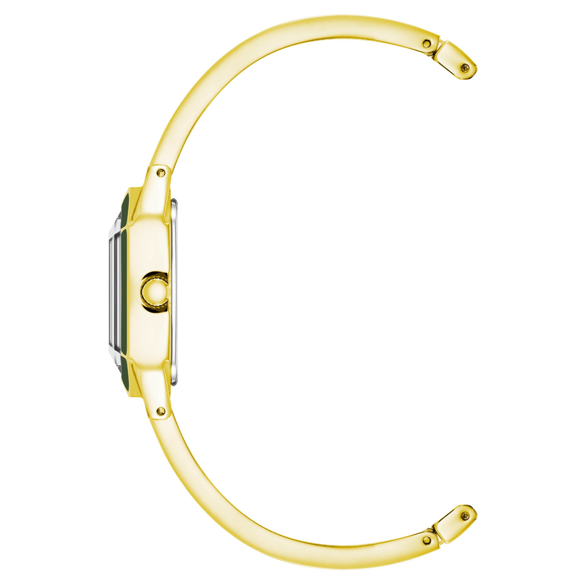 Reloj Anne Klein Ak4042Gpgn