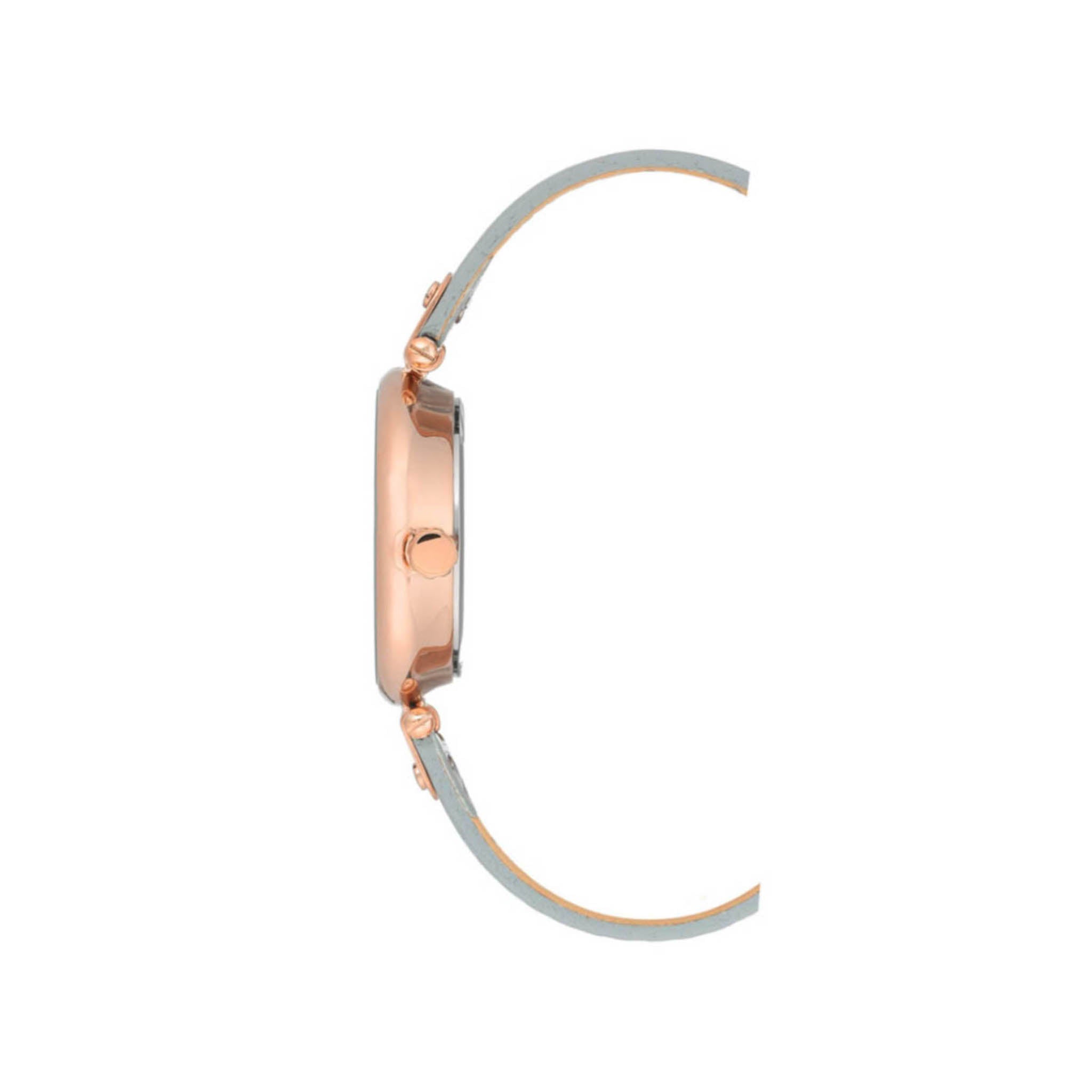 Reloj Anne Klein Ak3380Glgr