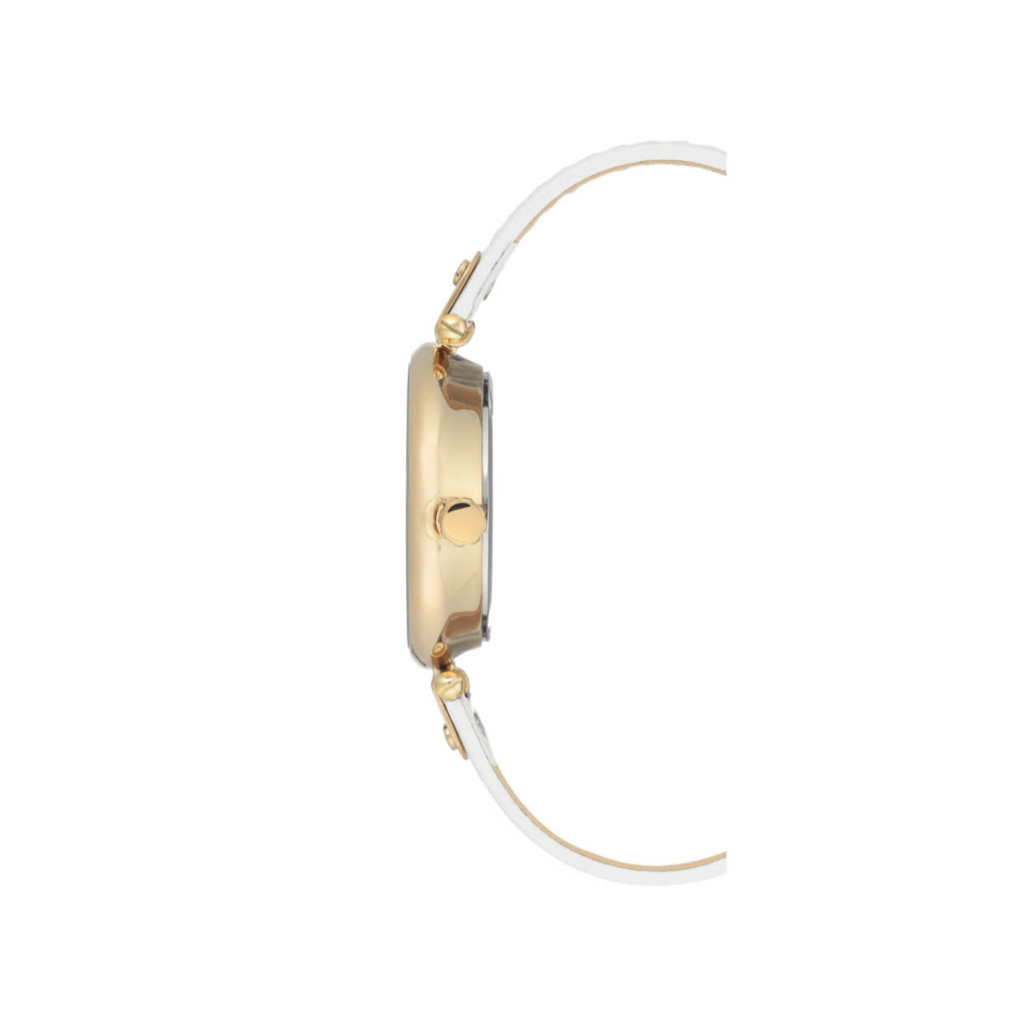 Reloj Anne Klein Ak3380Twhc