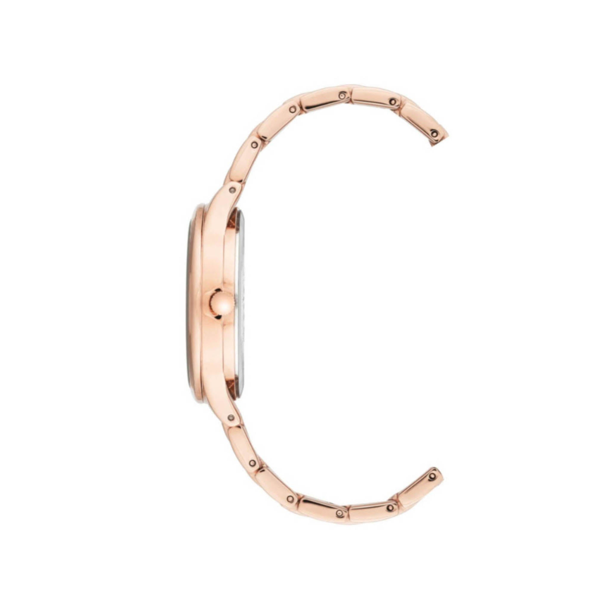 Reloj Anne Klein Ak3416Gryb