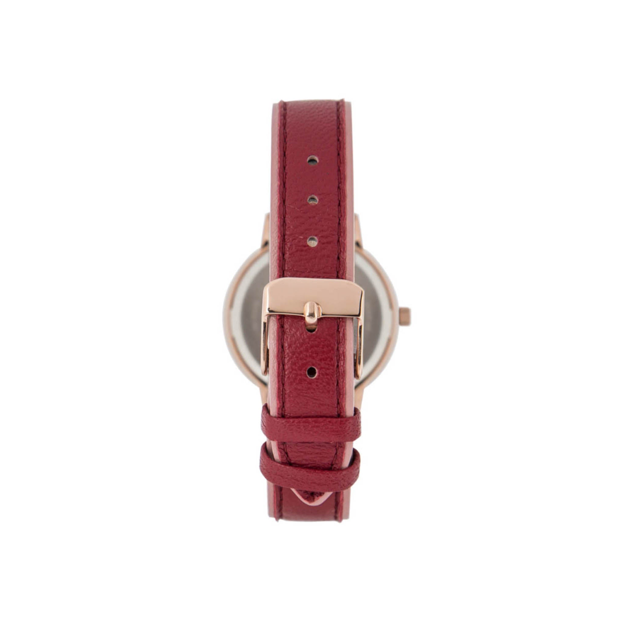 Reloj Anne Klein Ak3446Kpyb